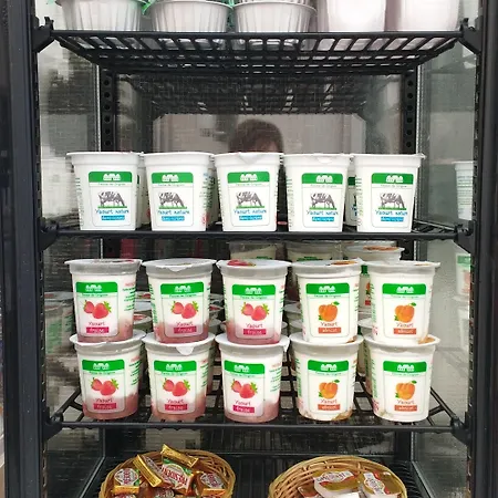 Hotel Hipotel Lilas Gambetta 3*