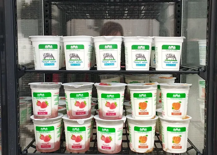 Отель Lilas Gambetta 3*